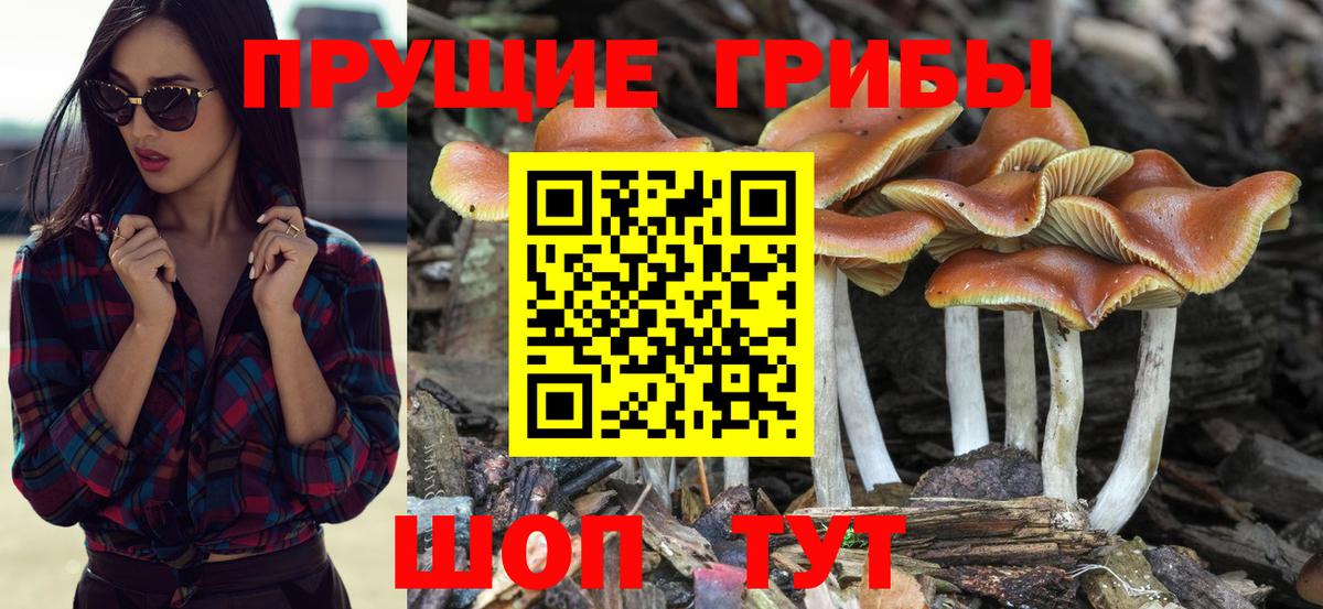 Галлюциногенные грибы Cubensis  закладка  Барабинск  Вход с VPN 
